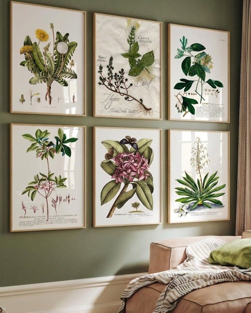 Six framed botanical prints of plants and flowers on a green living room wall