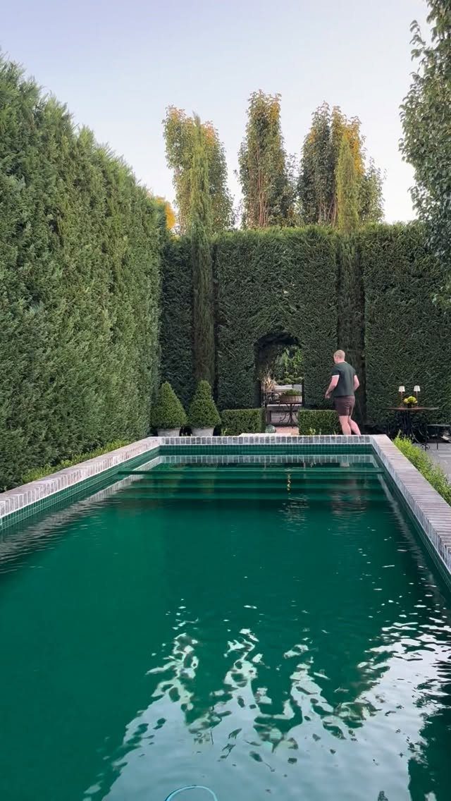 Rectangular swimming pool with green water surrounded by tall manicured hedges and trees.